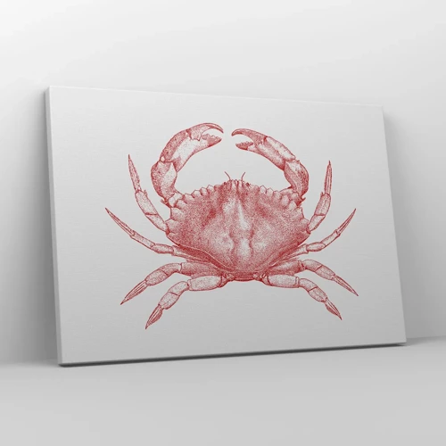 Canvas picture - Crab Like No Other - 70x50 cm