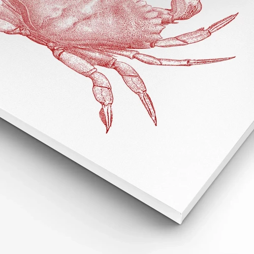 Canvas picture - Crab Like No Other - 70x50 cm