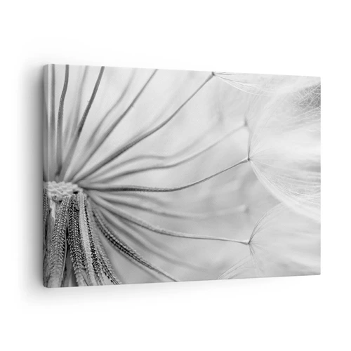 Canvas picture - Dandelion Kites - 70x50 cm