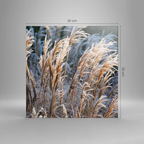 Canvas picture - Decorated with Frost - 30x30 cm