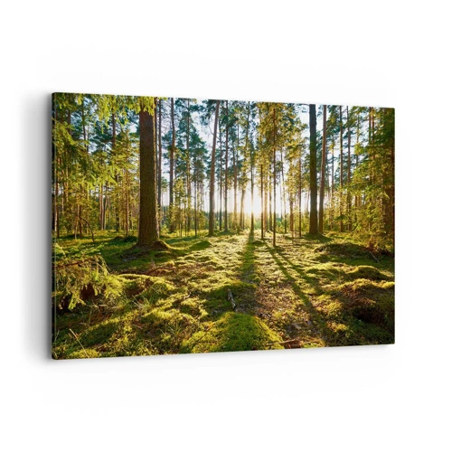 Canvas picture - Deep in the Forest - 100x70 cm