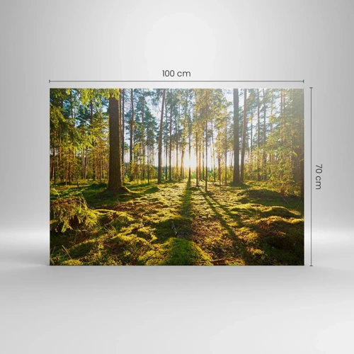 Canvas picture - Deep in the Forest - 100x70 cm