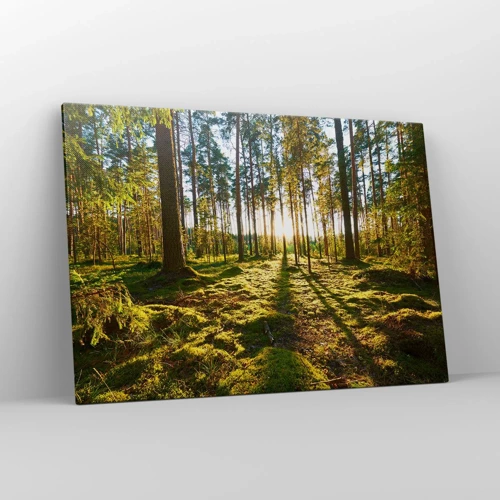 Canvas picture - Deep in the Forest - 100x70 cm