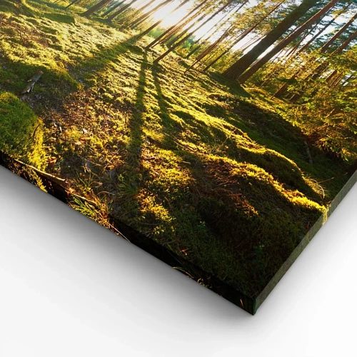 Canvas picture - Deep in the Forest - 100x70 cm