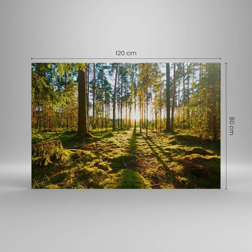 Canvas picture - Deep in the Forest - 120x80 cm