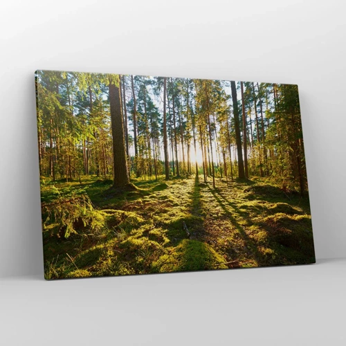 Canvas picture - Deep in the Forest - 120x80 cm