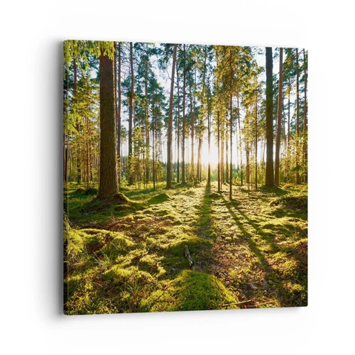 Canvas picture - Deep in the Forest - 40x40 cm