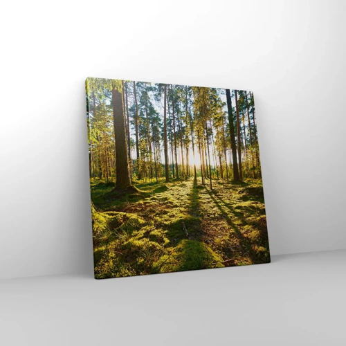 Canvas picture - Deep in the Forest - 40x40 cm