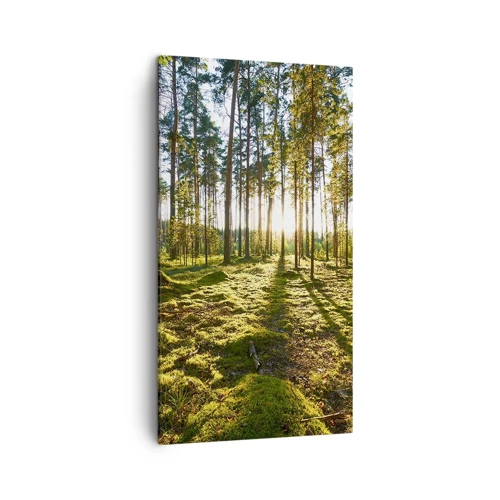 Canvas picture - Deep in the Forest - 45x80 cm