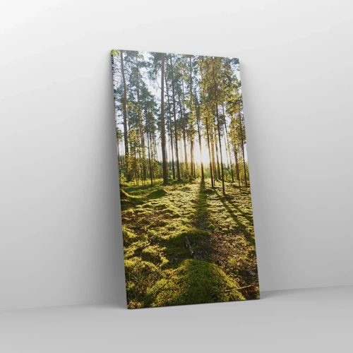 Canvas picture - Deep in the Forest - 45x80 cm