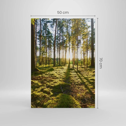 Canvas picture - Deep in the Forest - 50x70 cm