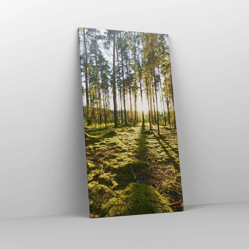 Canvas picture - Deep in the Forest - 65x120 cm