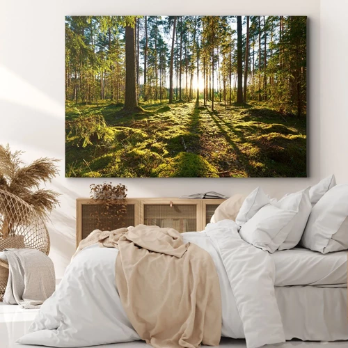 Canvas picture - Deep in the Forest - 70x50 cm