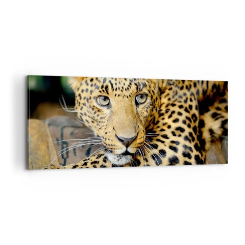 Canvas picture - Don't be Shy, Come Closer - 100x40 cm