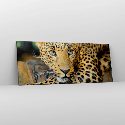 Canvas picture - Don't be Shy, Come Closer - 100x40 cm