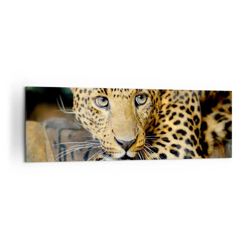 Canvas picture - Don't be Shy, Come Closer - 160x50 cm