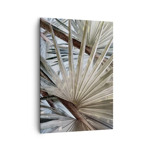 Canvas picture - Fans in tropics - 50x70 cm