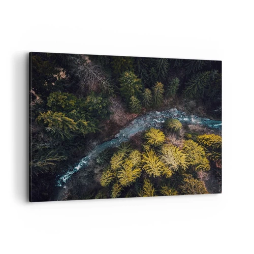 Canvas picture - Fast and Faster - 100x70 cm