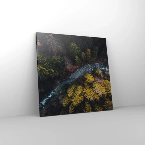 Canvas picture - Fast and Faster - 60x60 cm