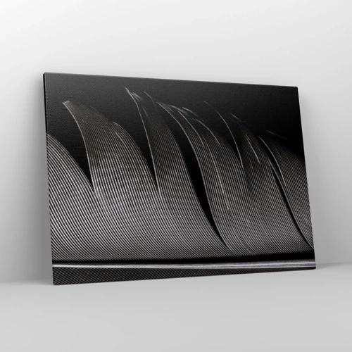 Canvas picture - Feather - Wonderful Constract - 100x70 cm