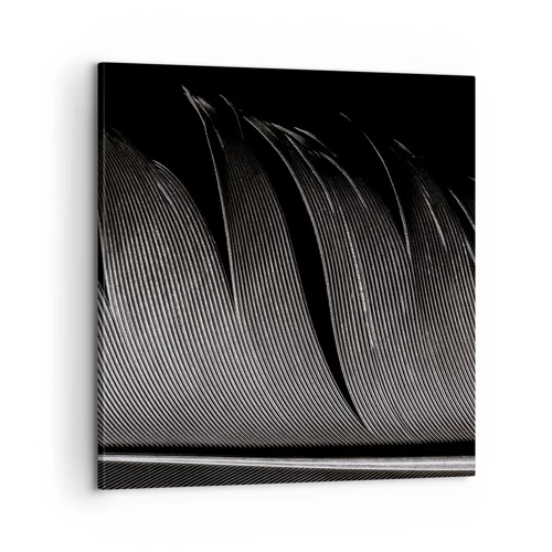 Canvas picture - Feather - Wonderful Constract - 60x60 cm