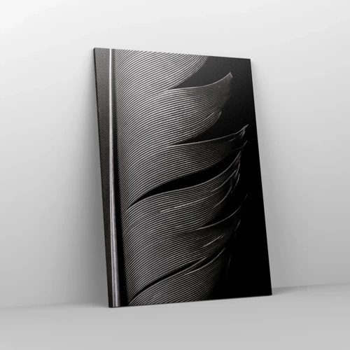 Canvas picture - Feather - Wonderful Constract - 70x100 cm