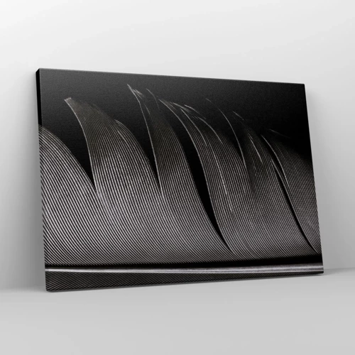 Canvas picture - Feather - Wonderful Constract - 70x50 cm