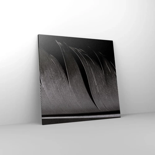 Canvas picture - Feather - Wonderful Constract - 70x70 cm