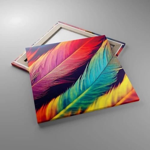 Canvas picture - Feathered Rainbow - 60x60 cm