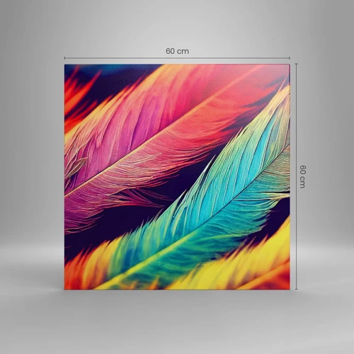 Canvas picture - Feathered Rainbow - 60x60 cm