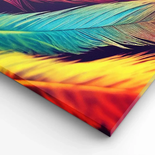 Canvas picture - Feathered Rainbow - 60x60 cm