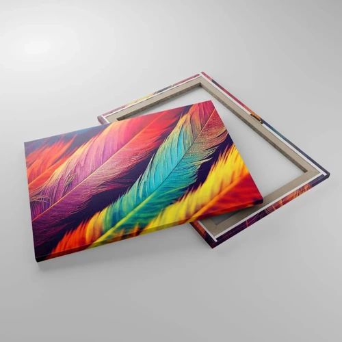 Canvas picture - Feathered Rainbow - 70x50 cm