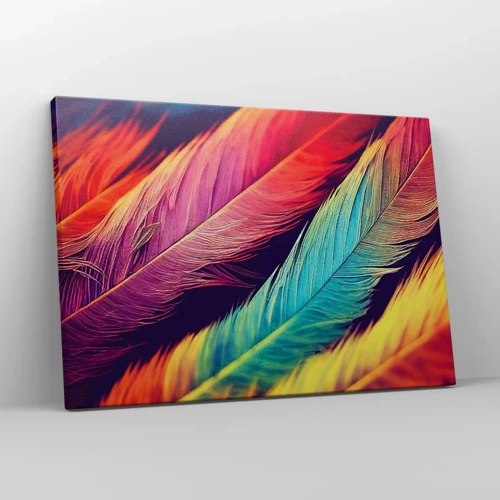 Canvas picture - Feathered Rainbow - 70x50 cm