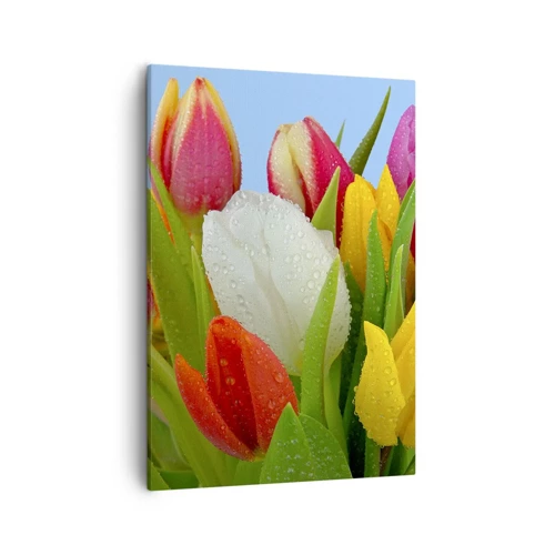 Canvas picture - Floral Rainbow in Dew Drops - 50x70 cm