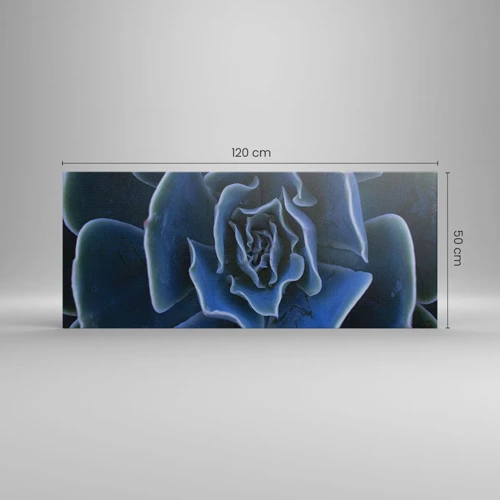 Canvas picture - Flower of the Desert - 120x50 cm