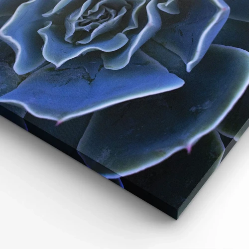 Canvas picture - Flower of the Desert - 120x50 cm