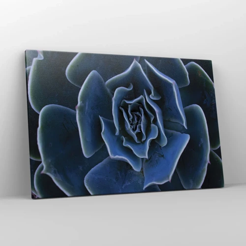 Canvas picture - Flower of the Desert - 120x80 cm