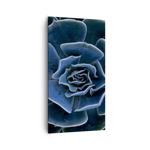 Canvas picture - Flower of the Desert - 55x100 cm