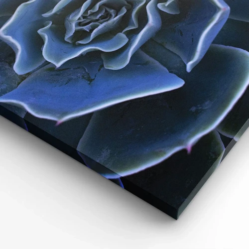 Canvas picture - Flower of the Desert - 55x100 cm
