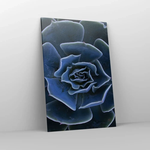 Canvas picture - Flower of the Desert - 80x120 cm