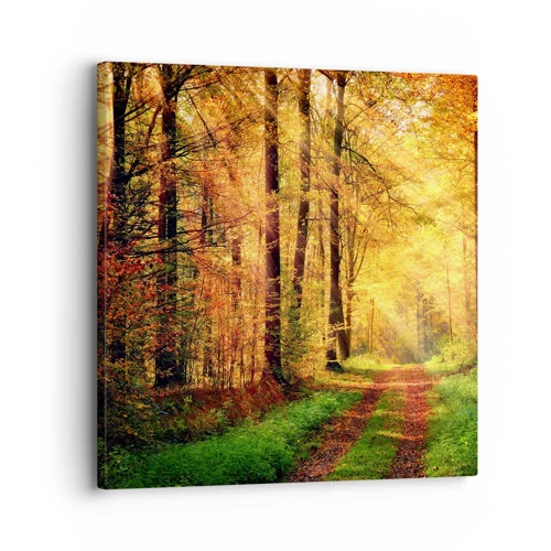 Canvas picture - Forest Golden silence - 30x30 cm