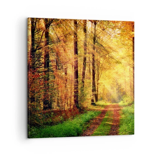 Canvas picture - Forest Golden silence - 50x50 cm