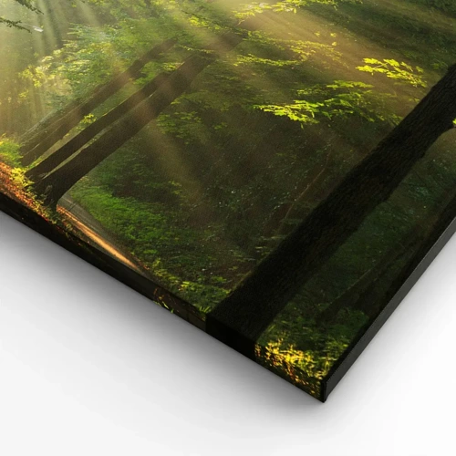 Canvas picture - Forest Moment - 100x40 cm