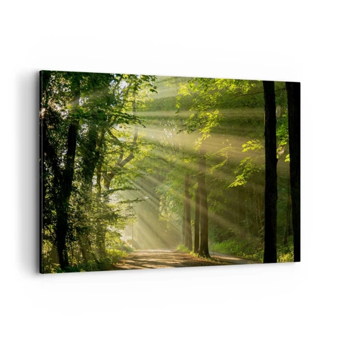 Canvas picture - Forest Moment - 120x80 cm