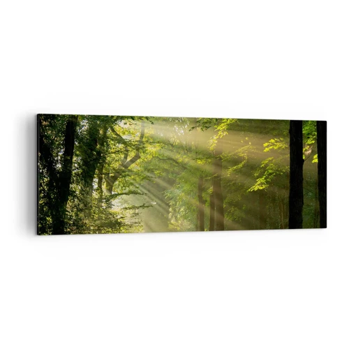 Canvas picture - Forest Moment - 140x50 cm