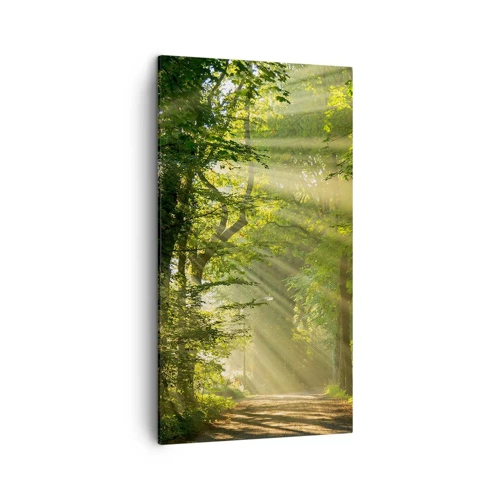 Canvas picture - Forest Moment - 45x80 cm