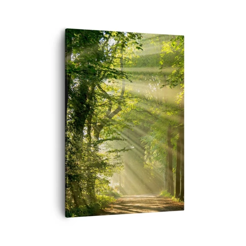 Canvas picture - Forest Moment - 50x70 cm