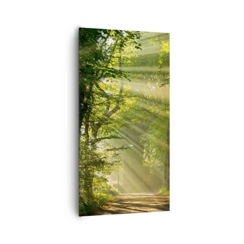 Canvas picture - Forest Moment - 65x120 cm