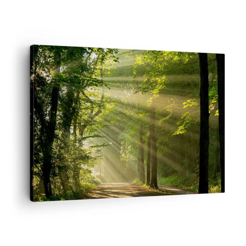 Canvas picture - Forest Moment - 70x50 cm