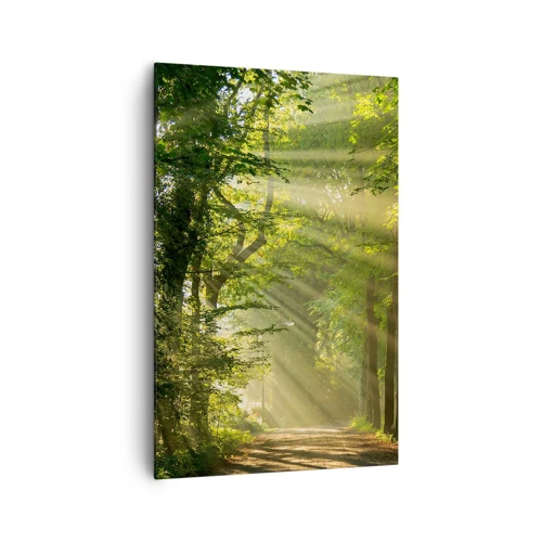 Canvas picture - Forest Moment - 80x120 cm